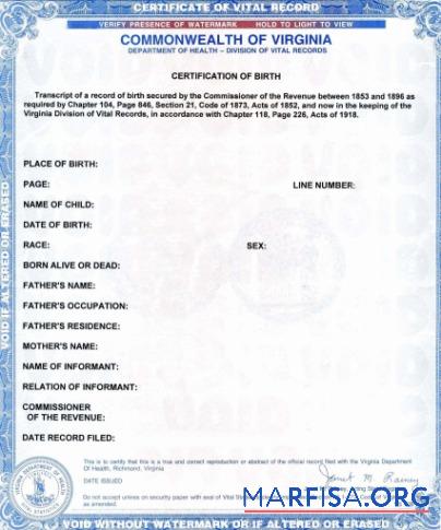 Realistic United States Commonwealth of Virginia birth certificate real example